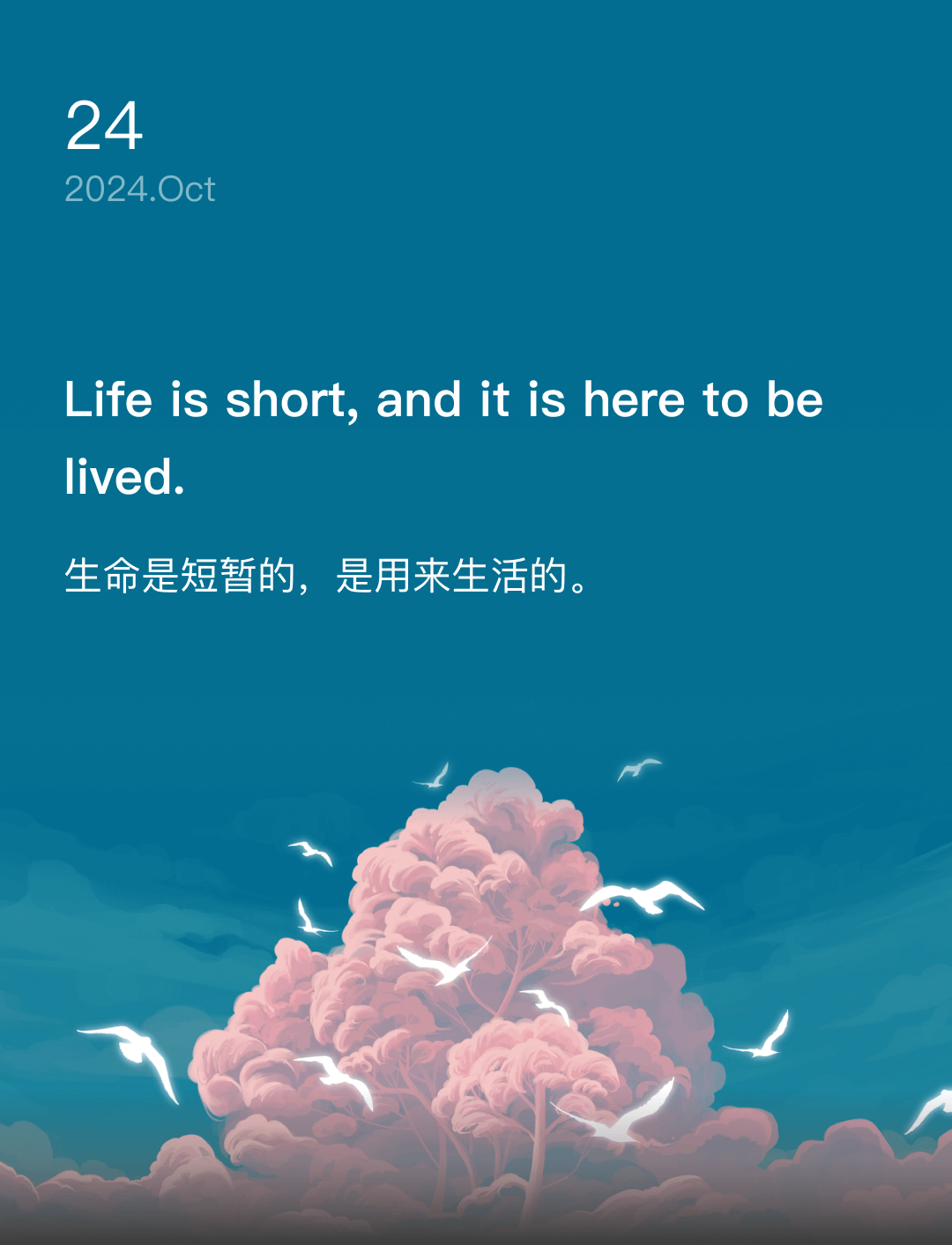 词霸每日一句
