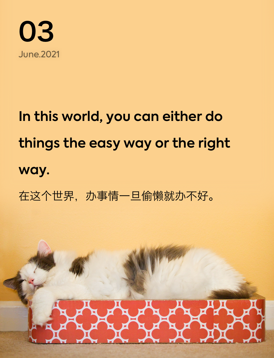 词霸每日一句