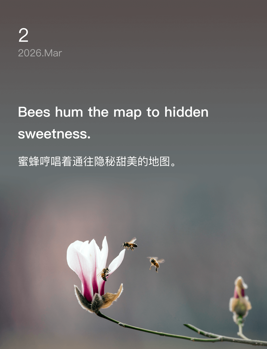 Bees hum the map to hidden sweetness.