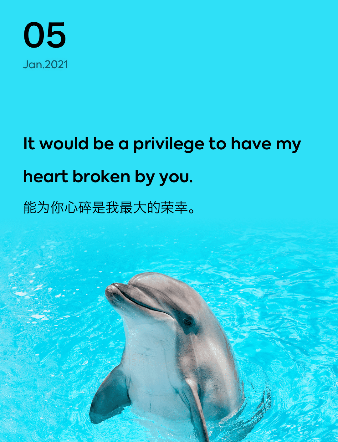 词霸每日一句