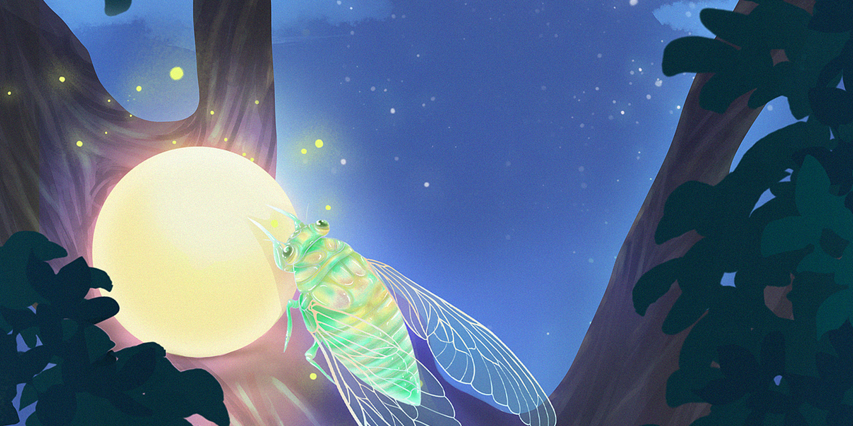 「2026-06-21」Cicada songs fall from treetops, splashing heat waves on the ground.美图壁纸