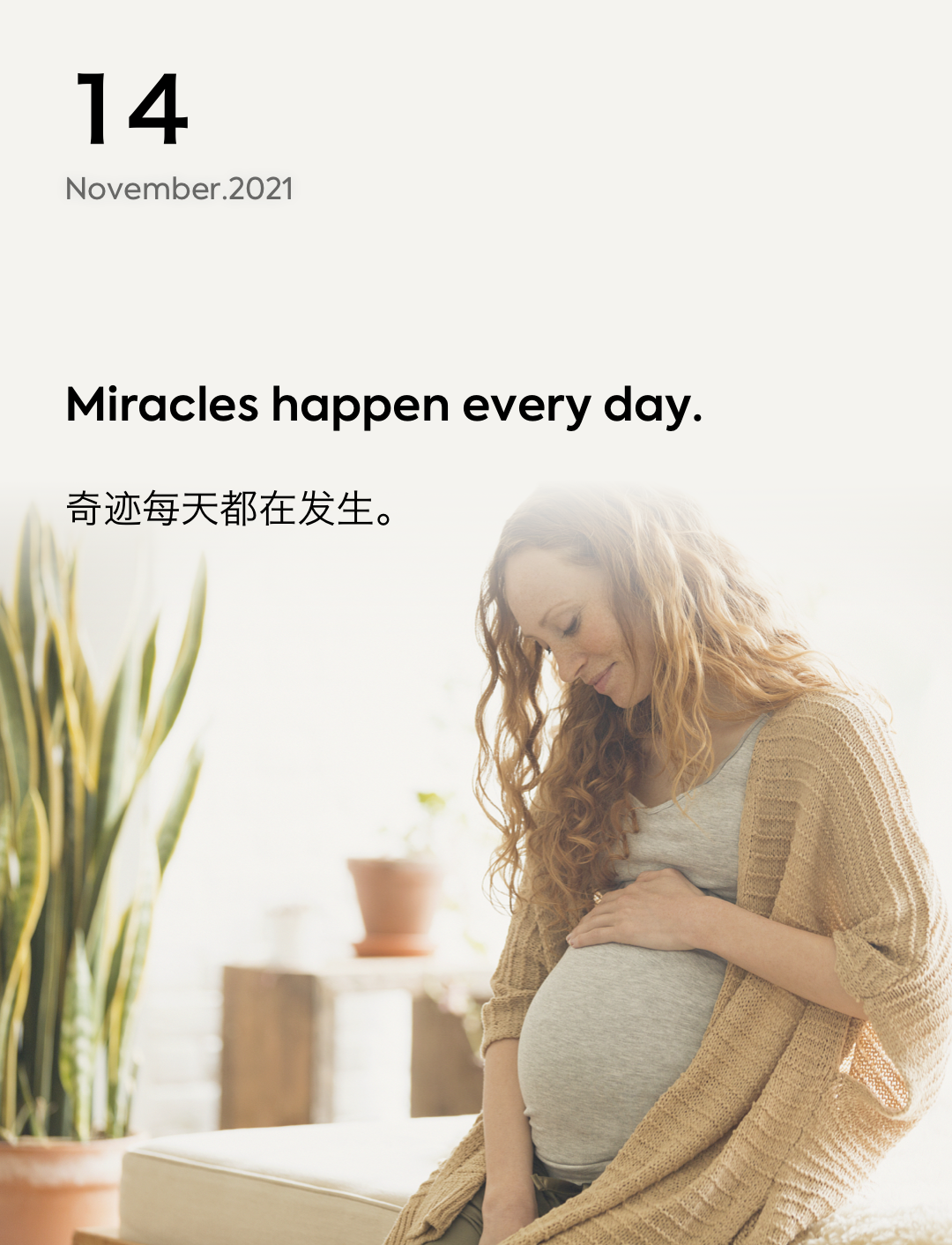 词霸每日一句
