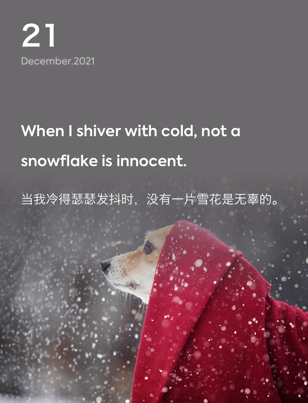 词霸每日一句