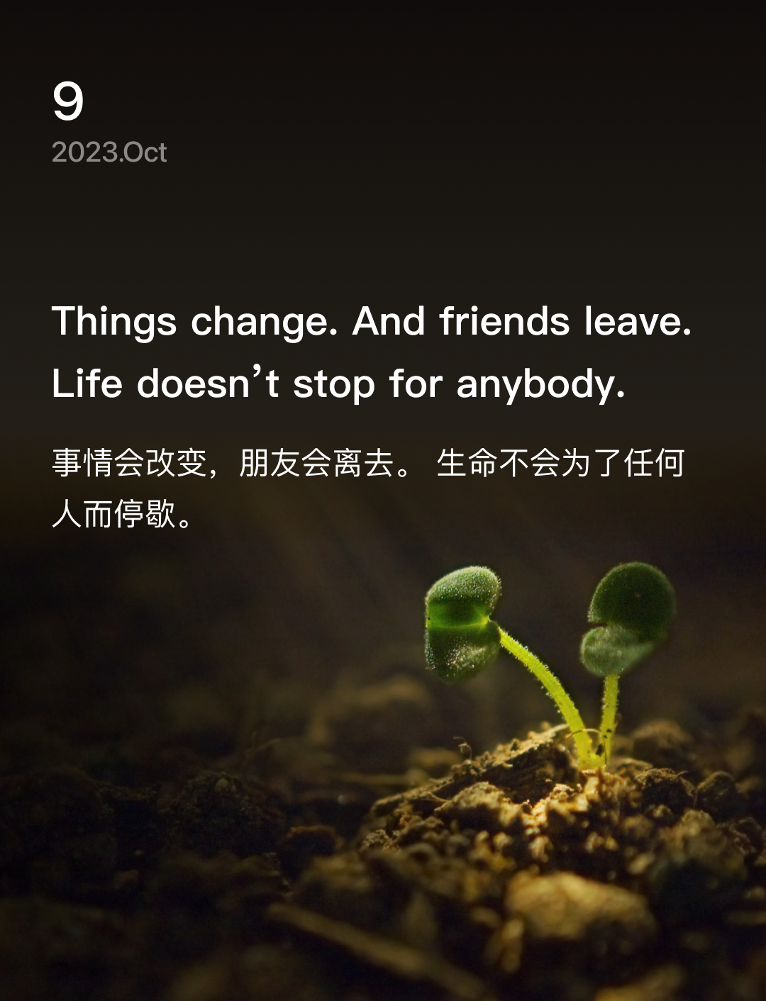 词霸每日一句