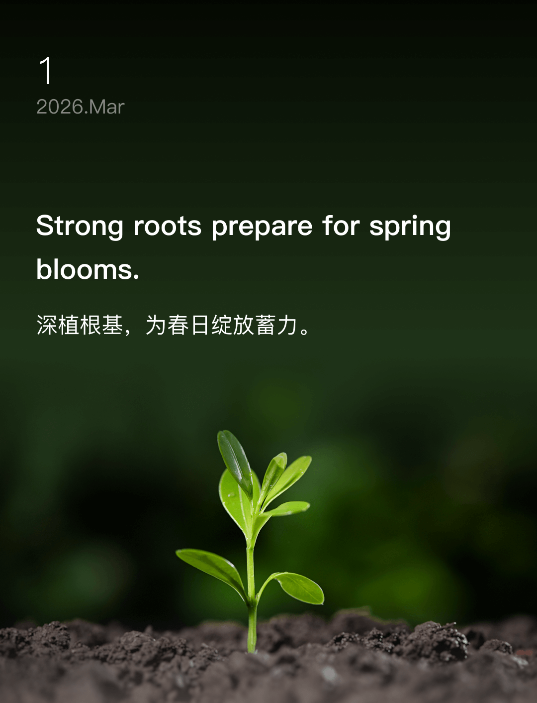 Strong roots prepare for spring blooms.