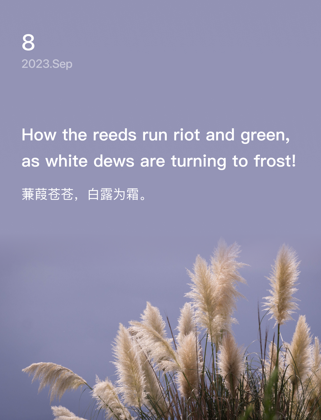词霸每日一句