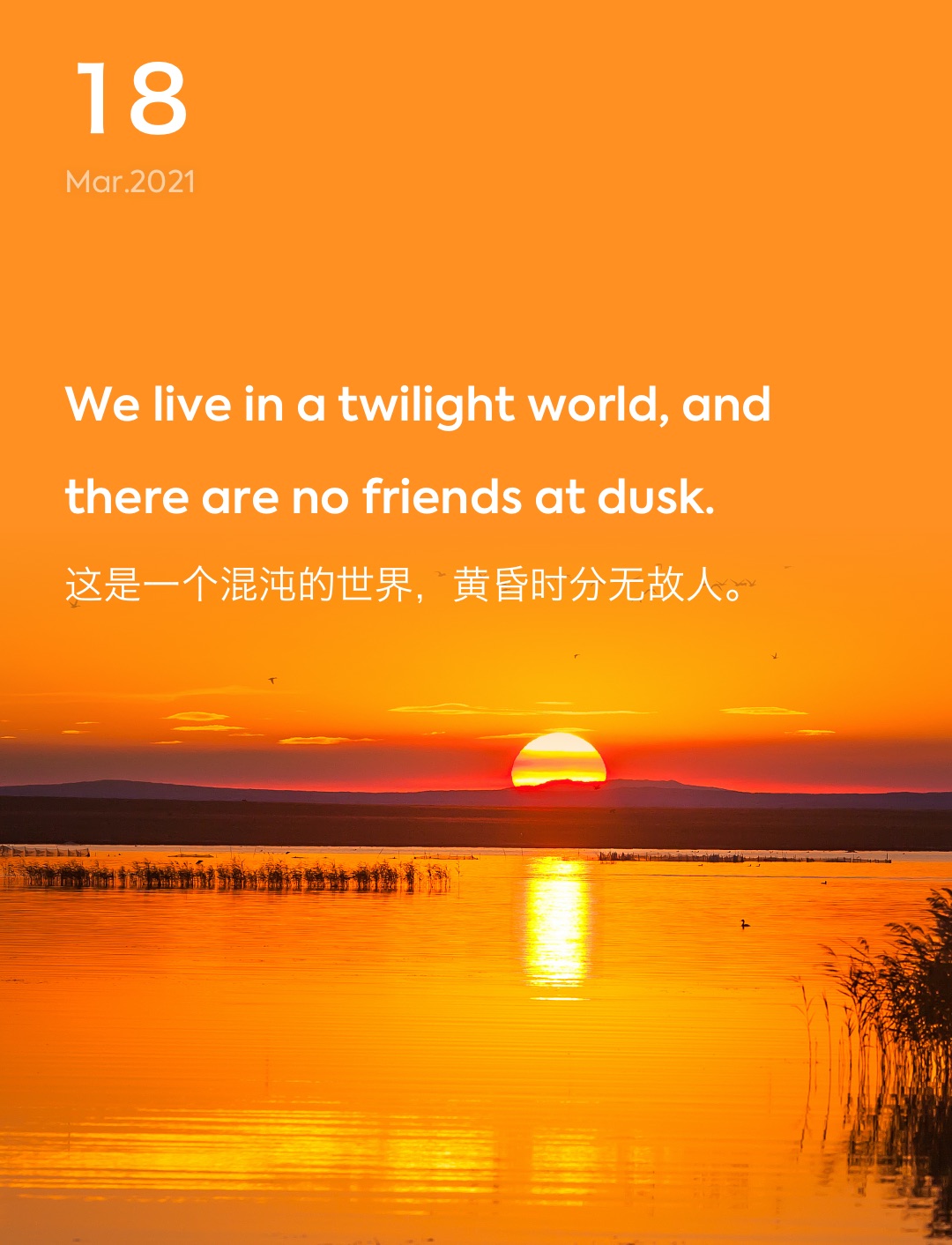 词霸每日一句