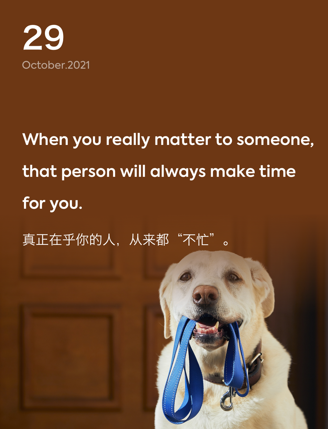 词霸每日一句