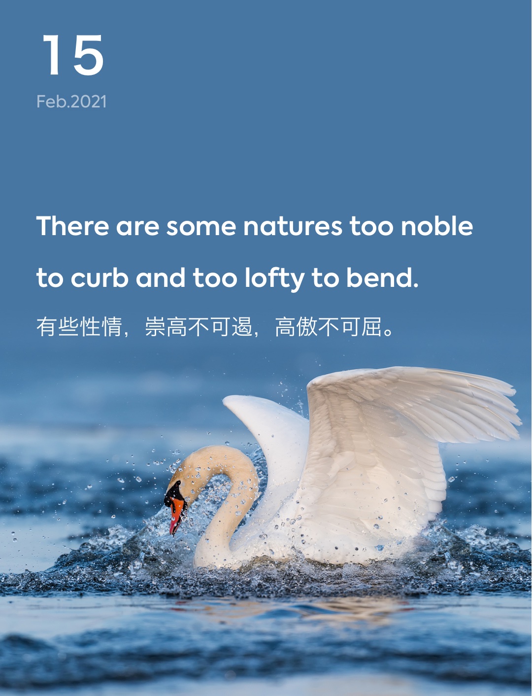 词霸每日一句