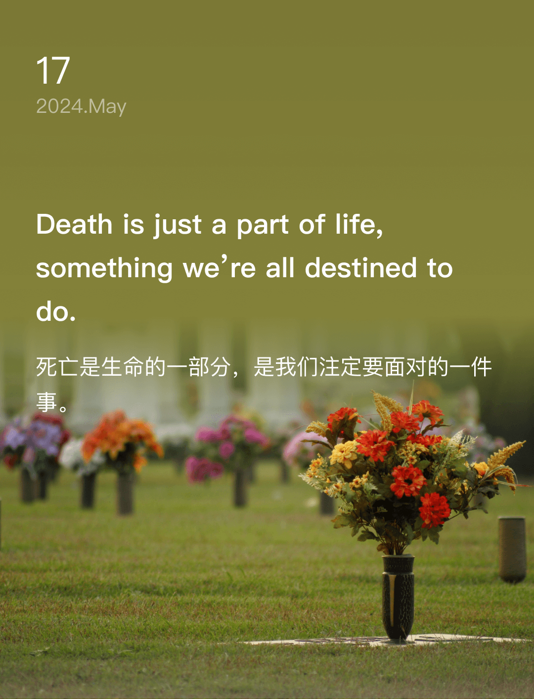 词霸每日一句