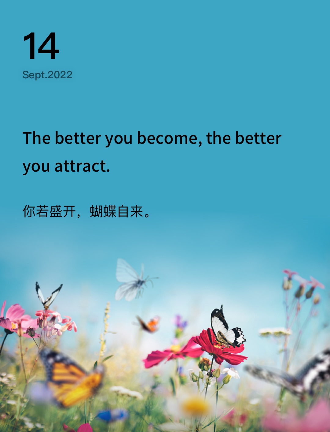 词霸每日一句