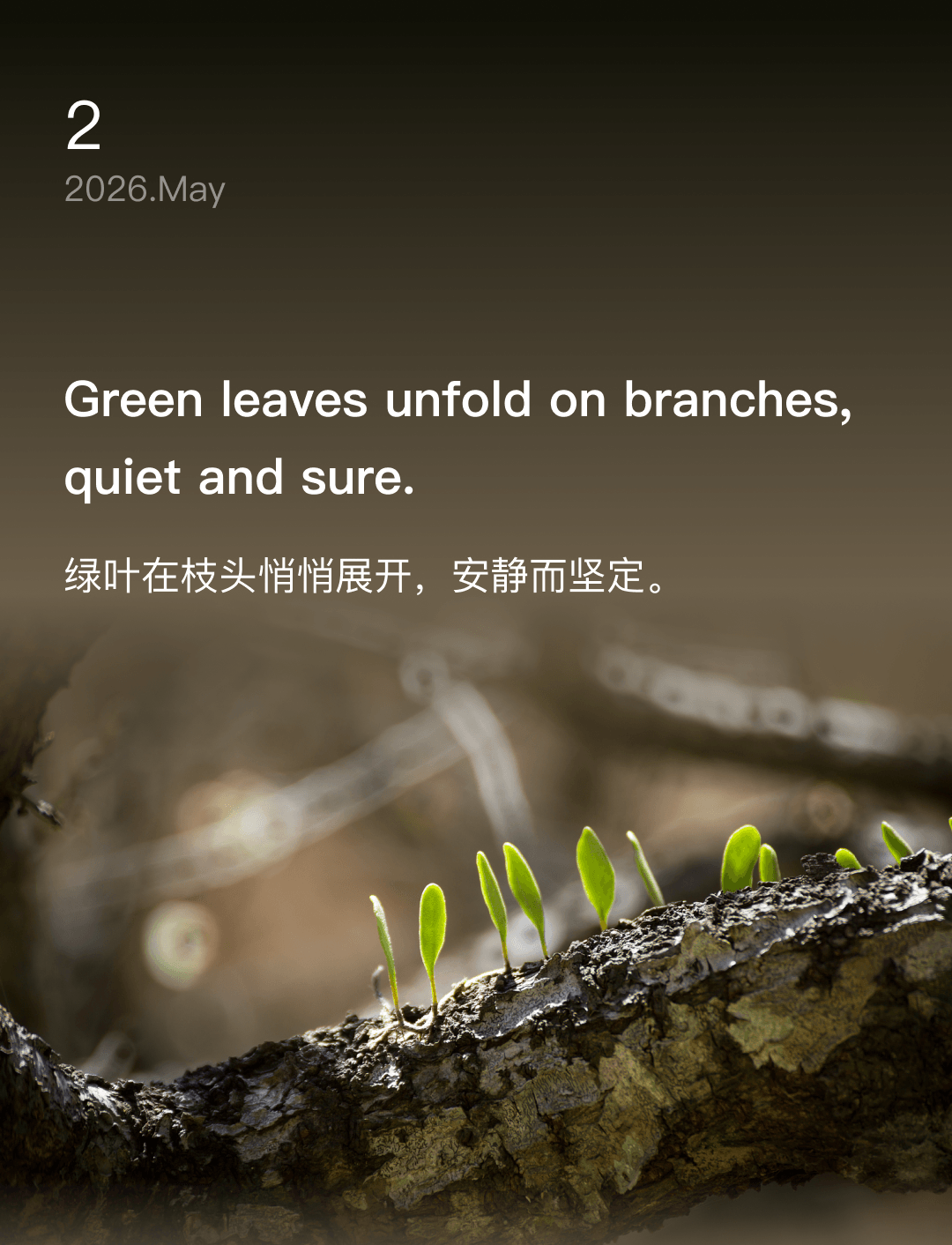 词霸每日一句