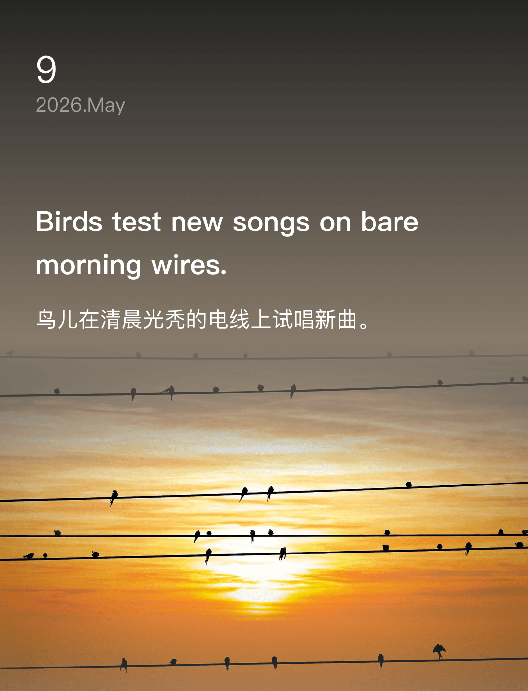 词霸每日一句