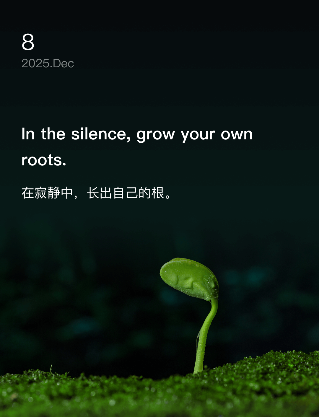 In the silence, grow your own roots.
