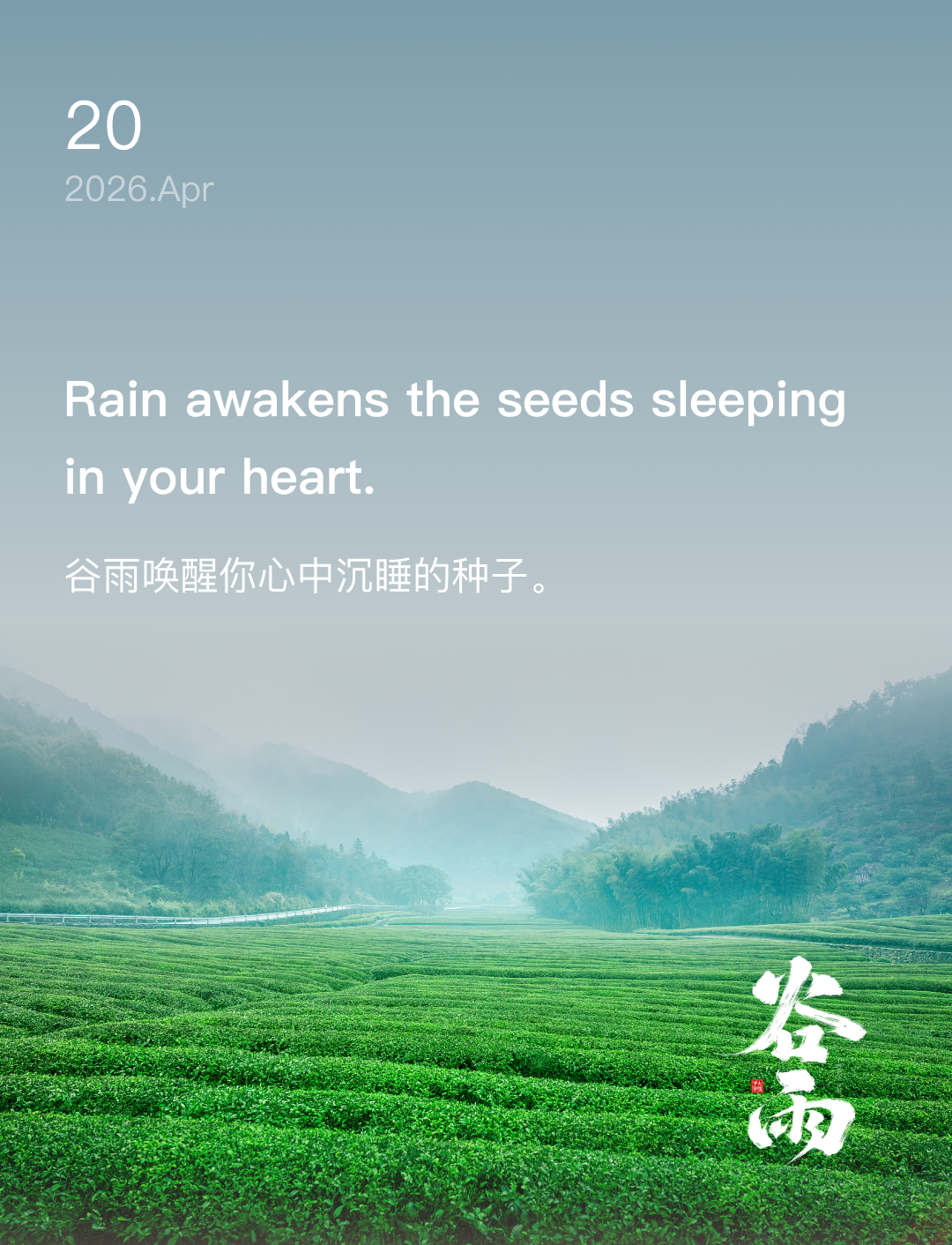 词霸每日一句