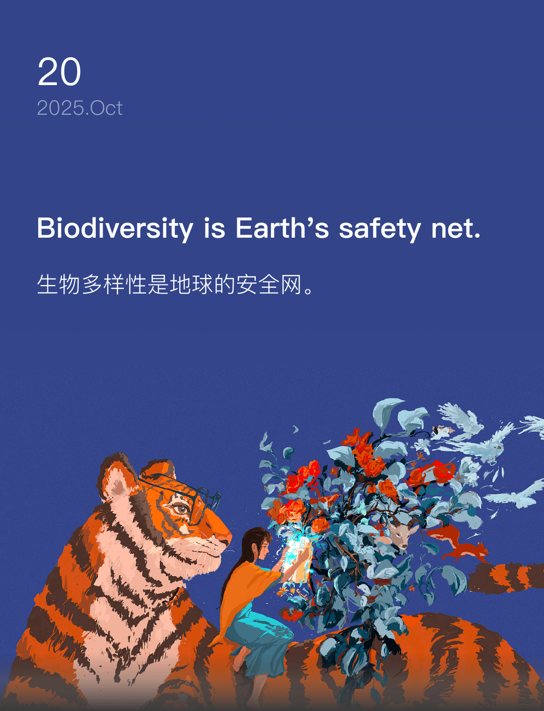 词霸每日一句
