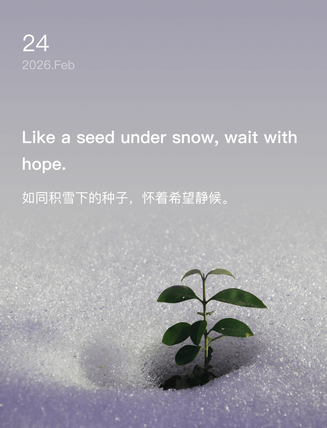 Like a seed under snow, wait with hope.