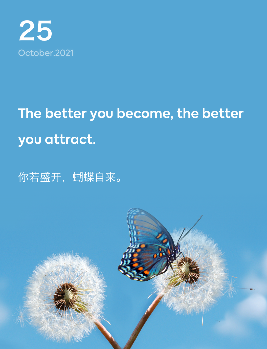词霸每日一句
