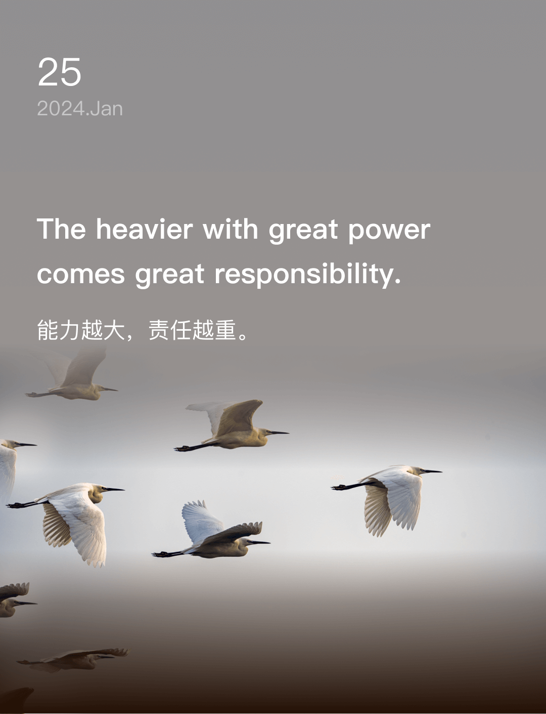词霸每日一句