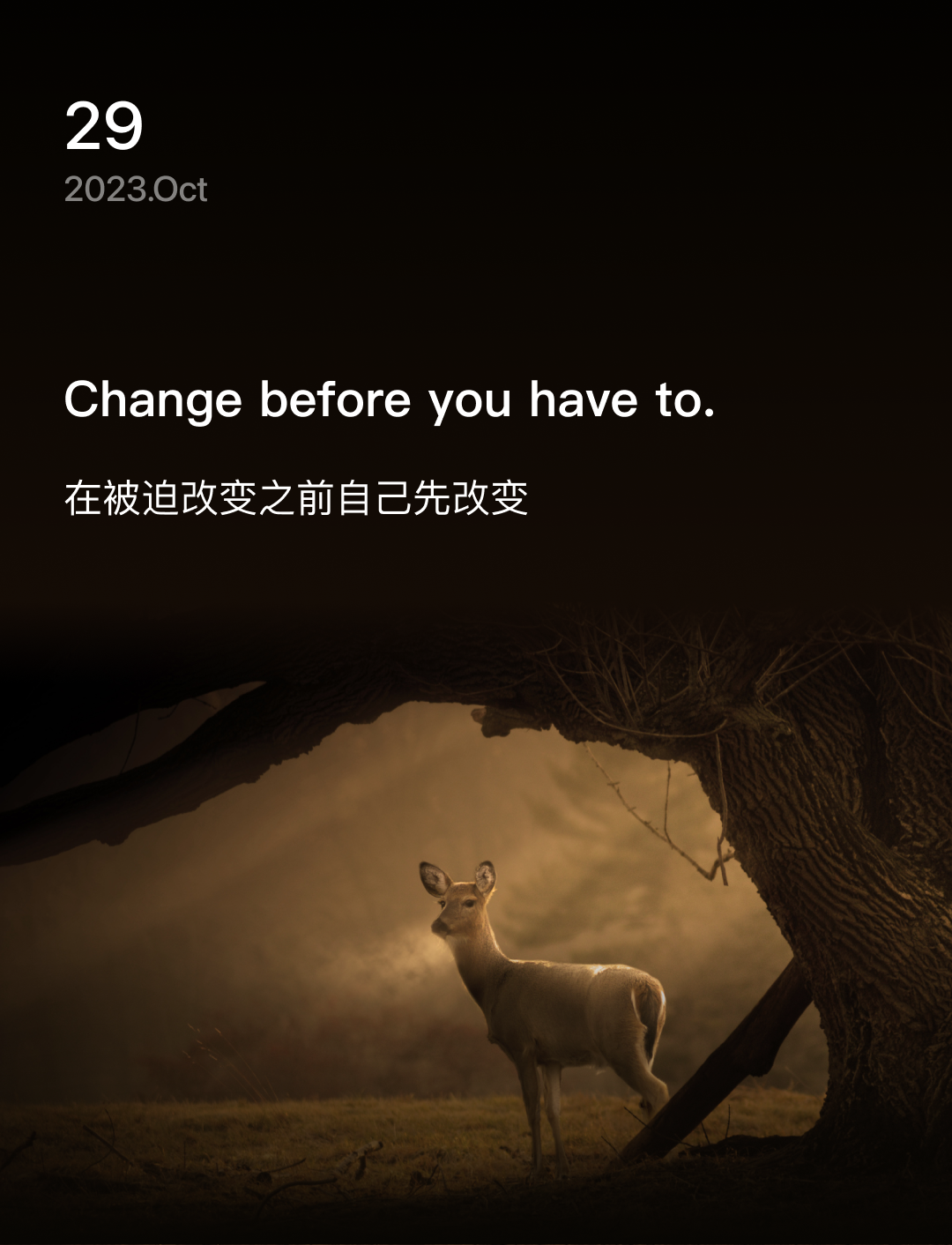 词霸每日一句