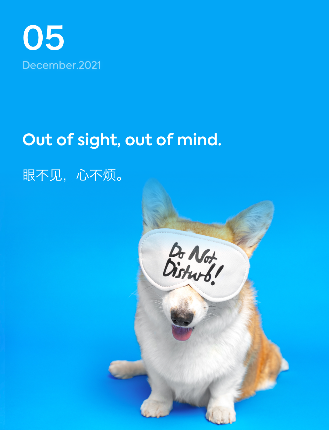 词霸每日一句