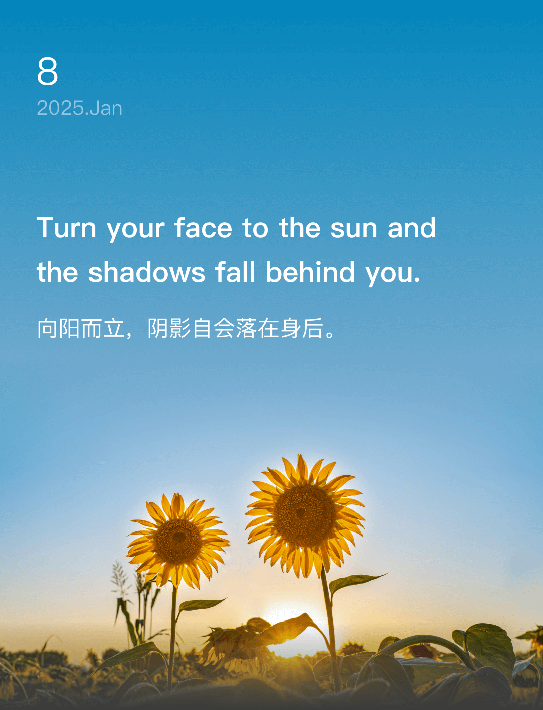 词霸每日一句
