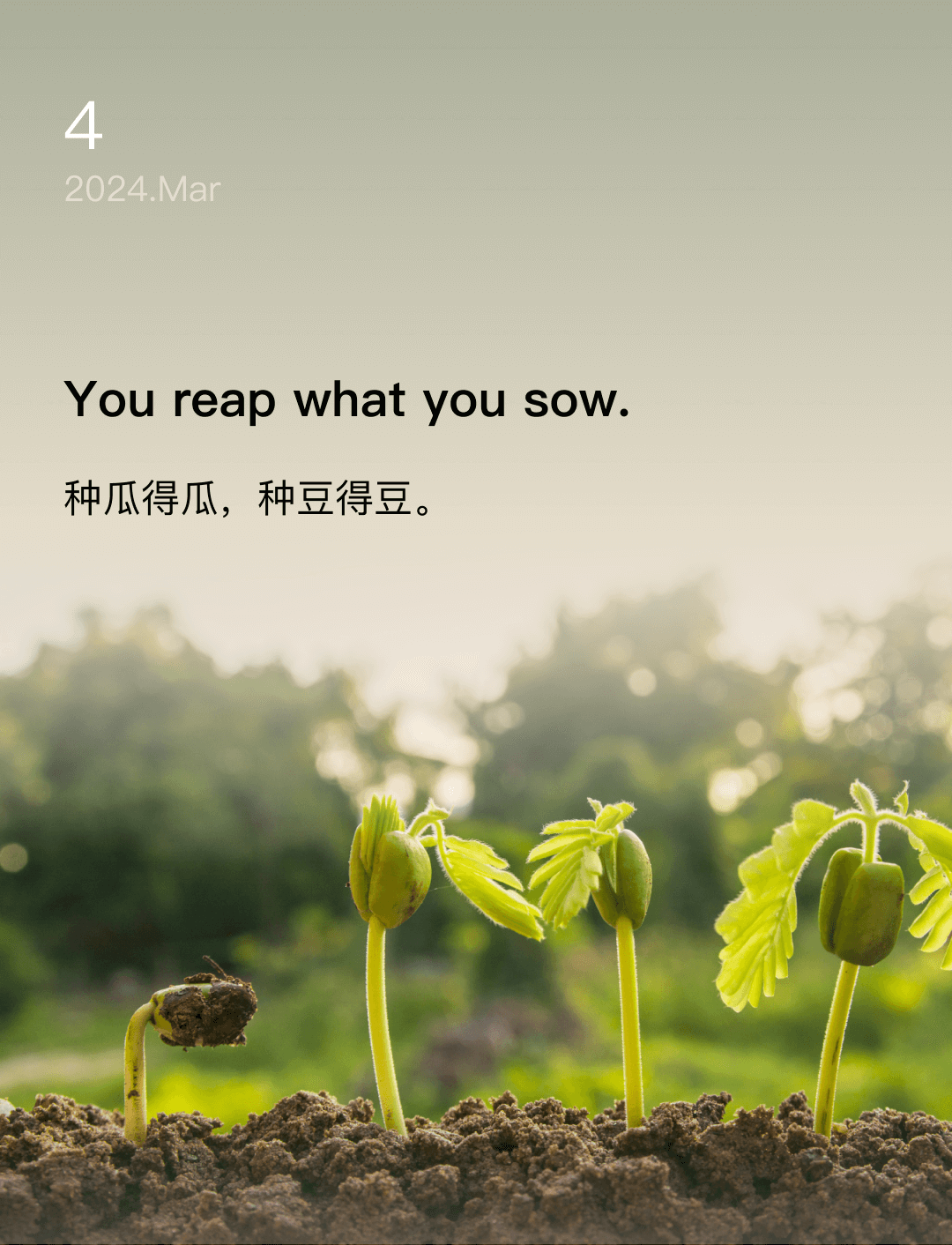 词霸每日一句