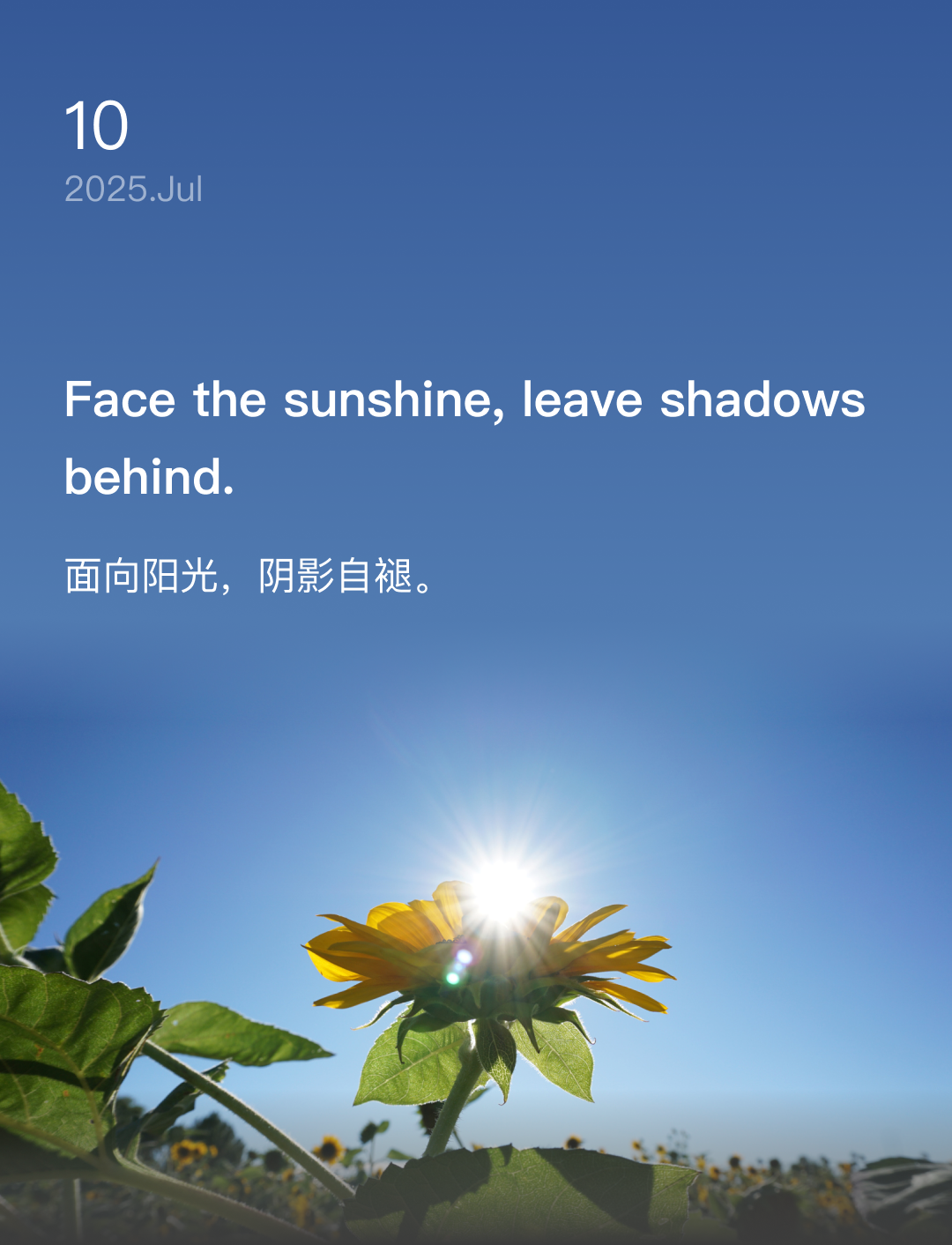 词霸每日一句