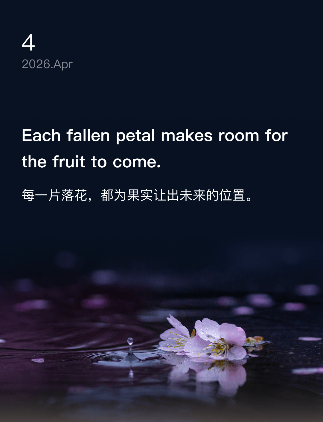 词霸每日一句