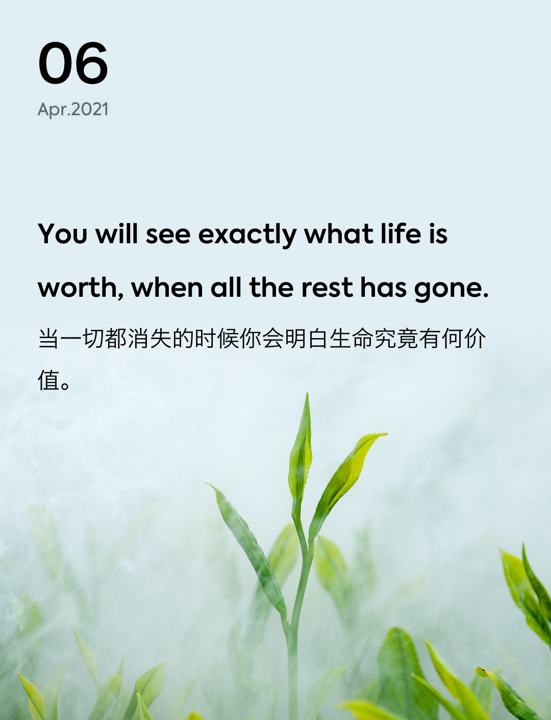 词霸每日一句