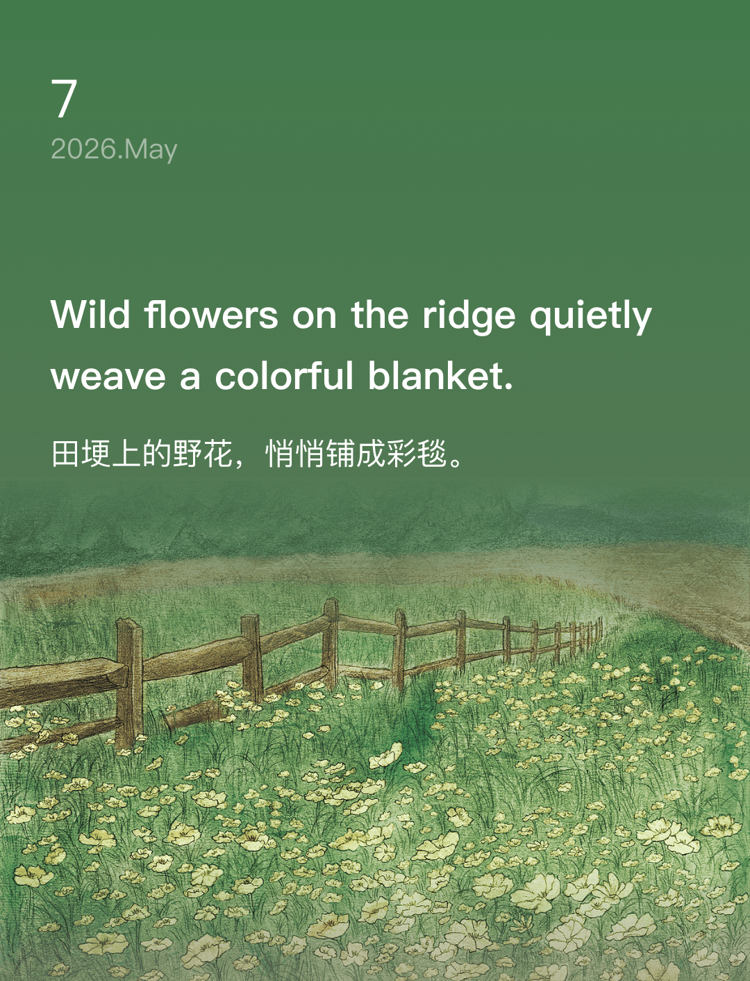 Wild flowers on the ridge quietly weave a colorful blanket.