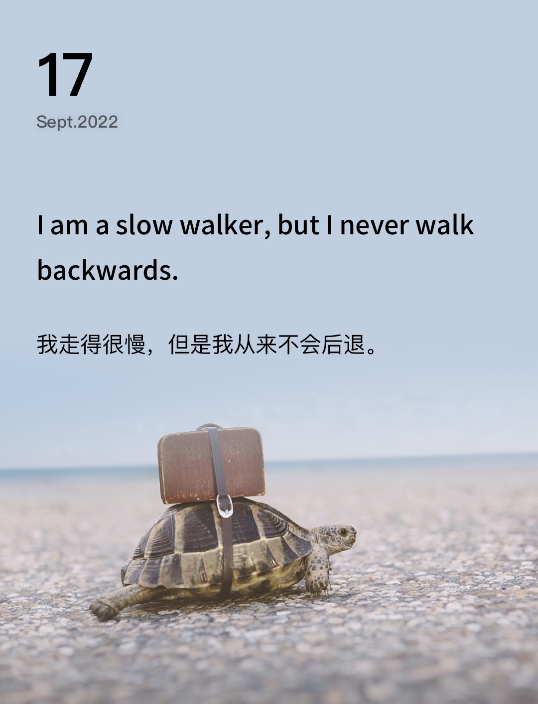 词霸每日一句