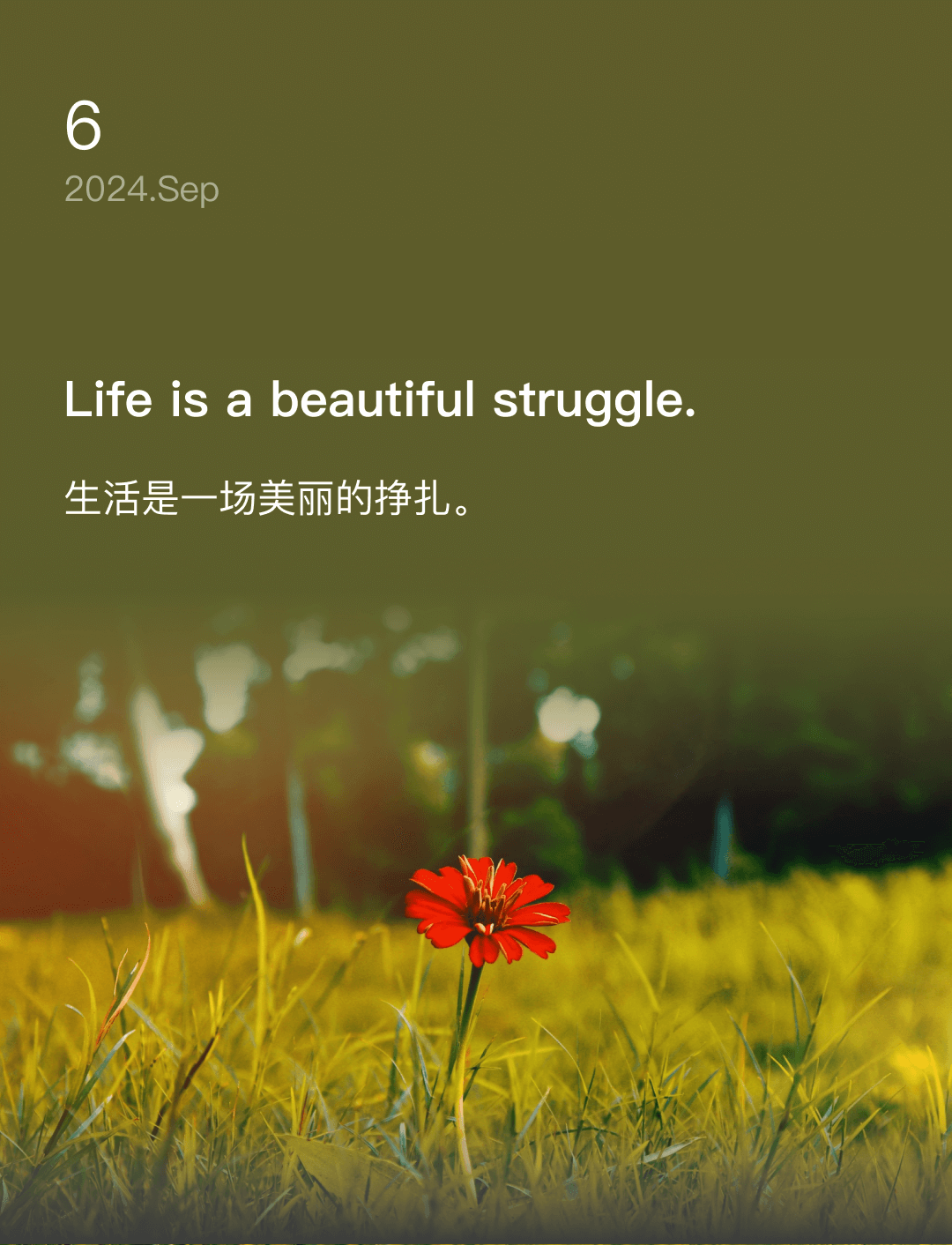 词霸每日一句