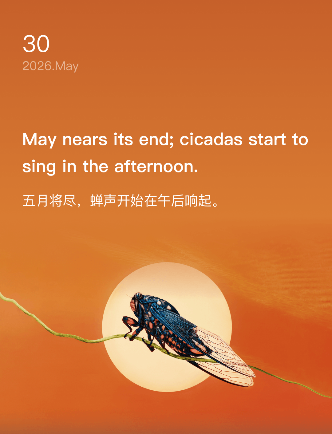 词霸每日一句