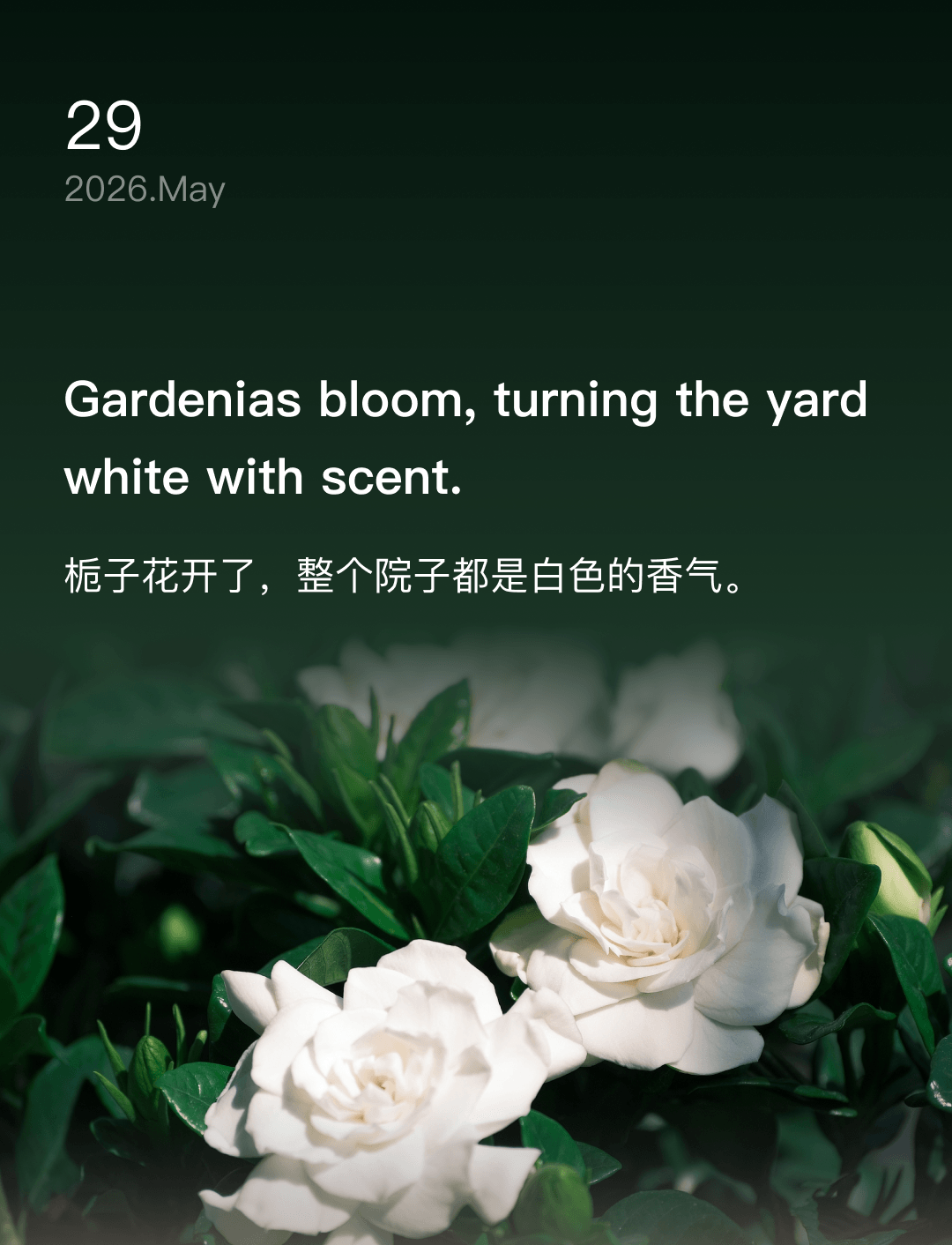 词霸每日一句