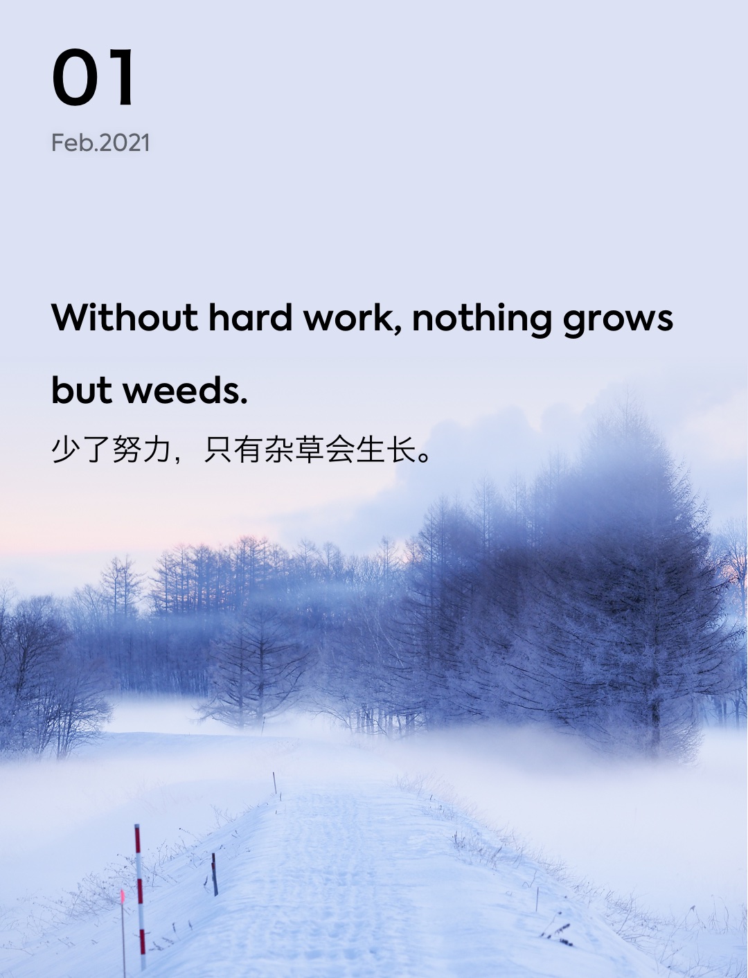 词霸每日一句