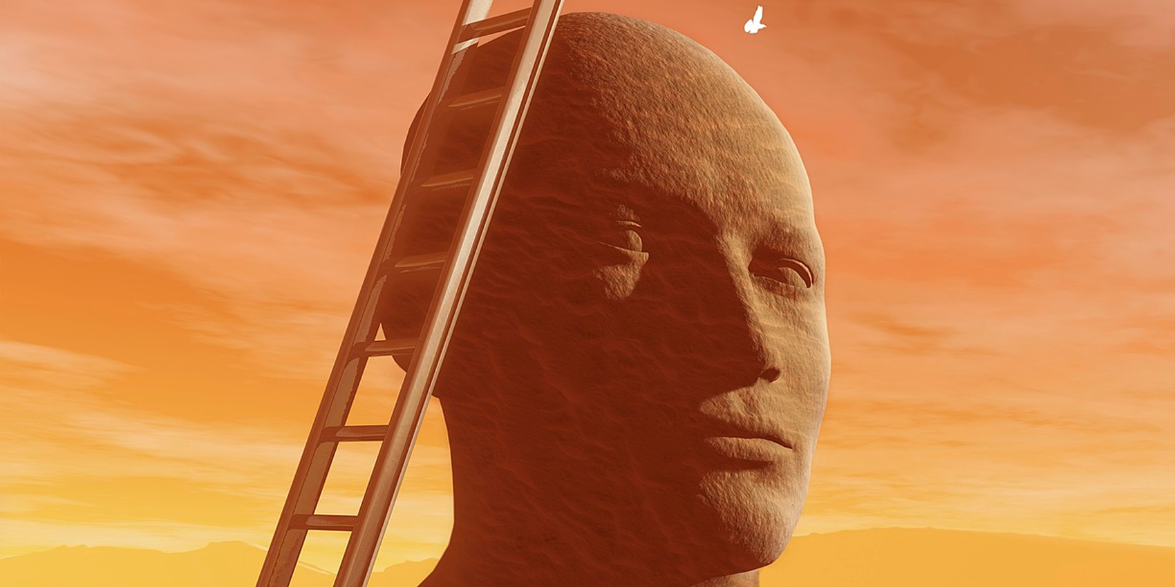 In the material world, build a spiritual high ground