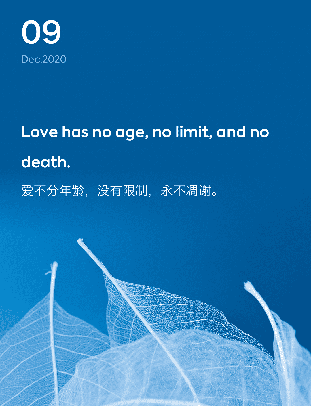 词霸每日一句