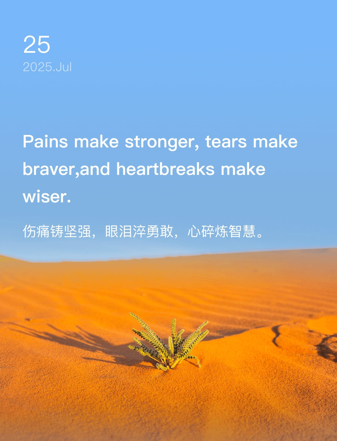 词霸每日一句