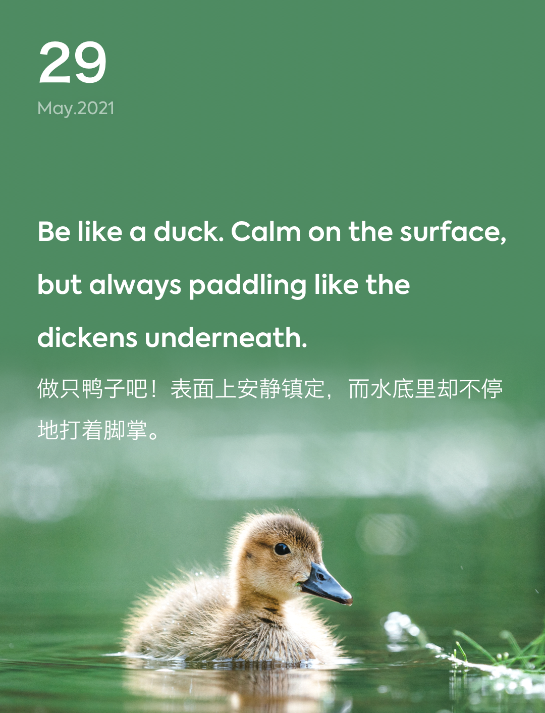 词霸每日一句