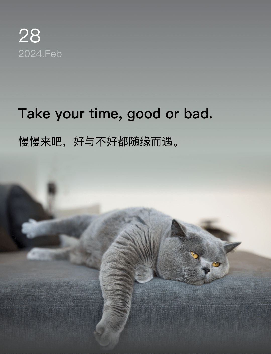 词霸每日一句