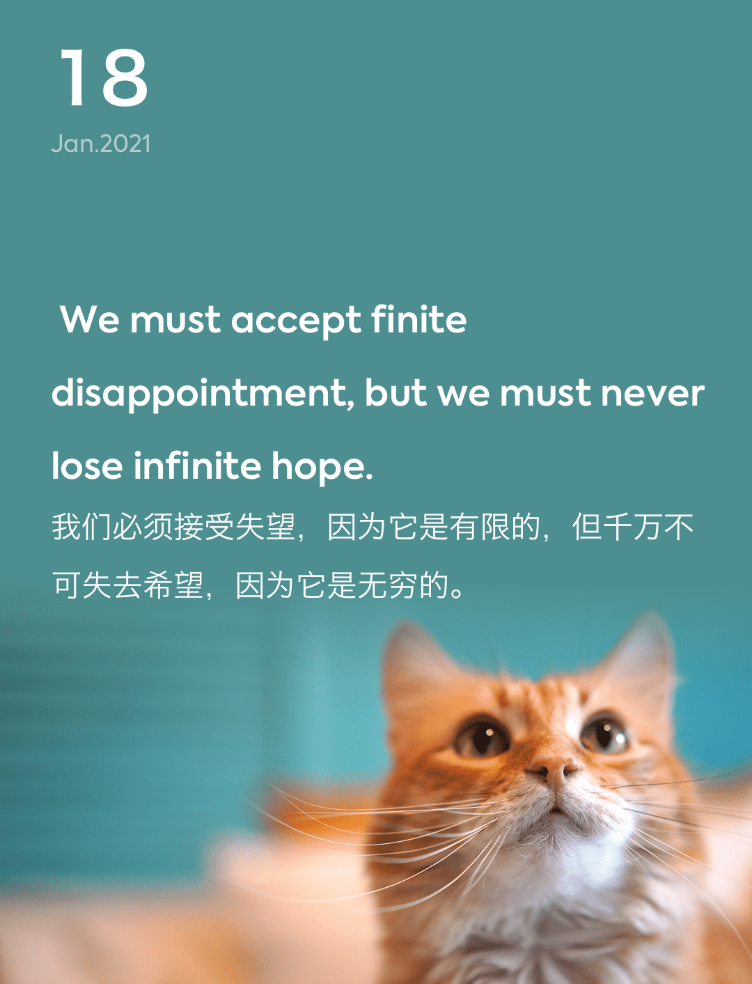 词霸每日一句