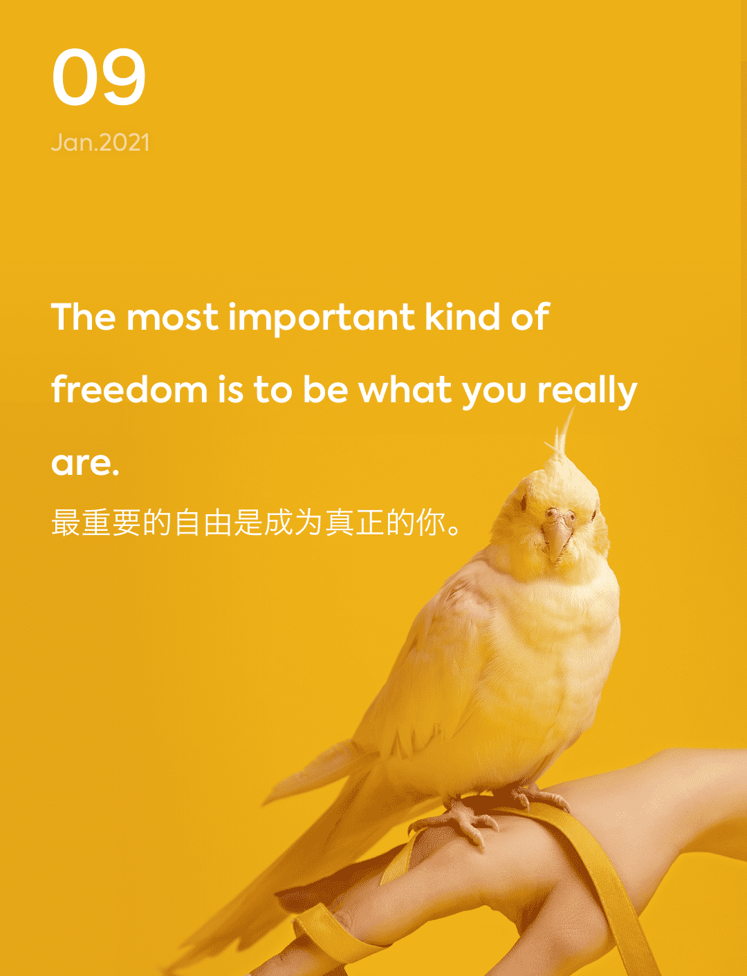 词霸每日一句