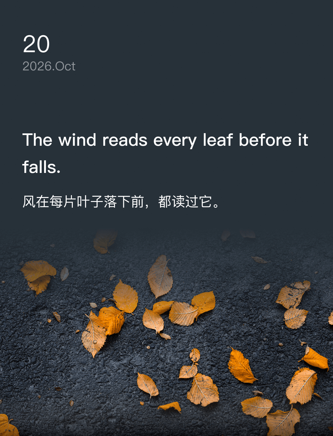 The wind reads every leaf before it falls.
