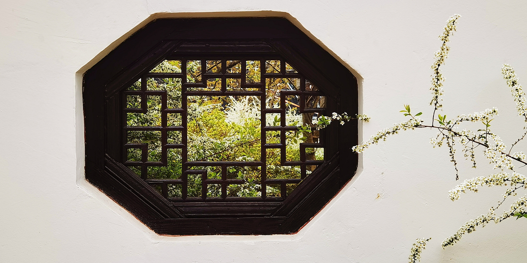 「2025-12-09」Bright windows and clean desks—that is simple joy.美图壁纸