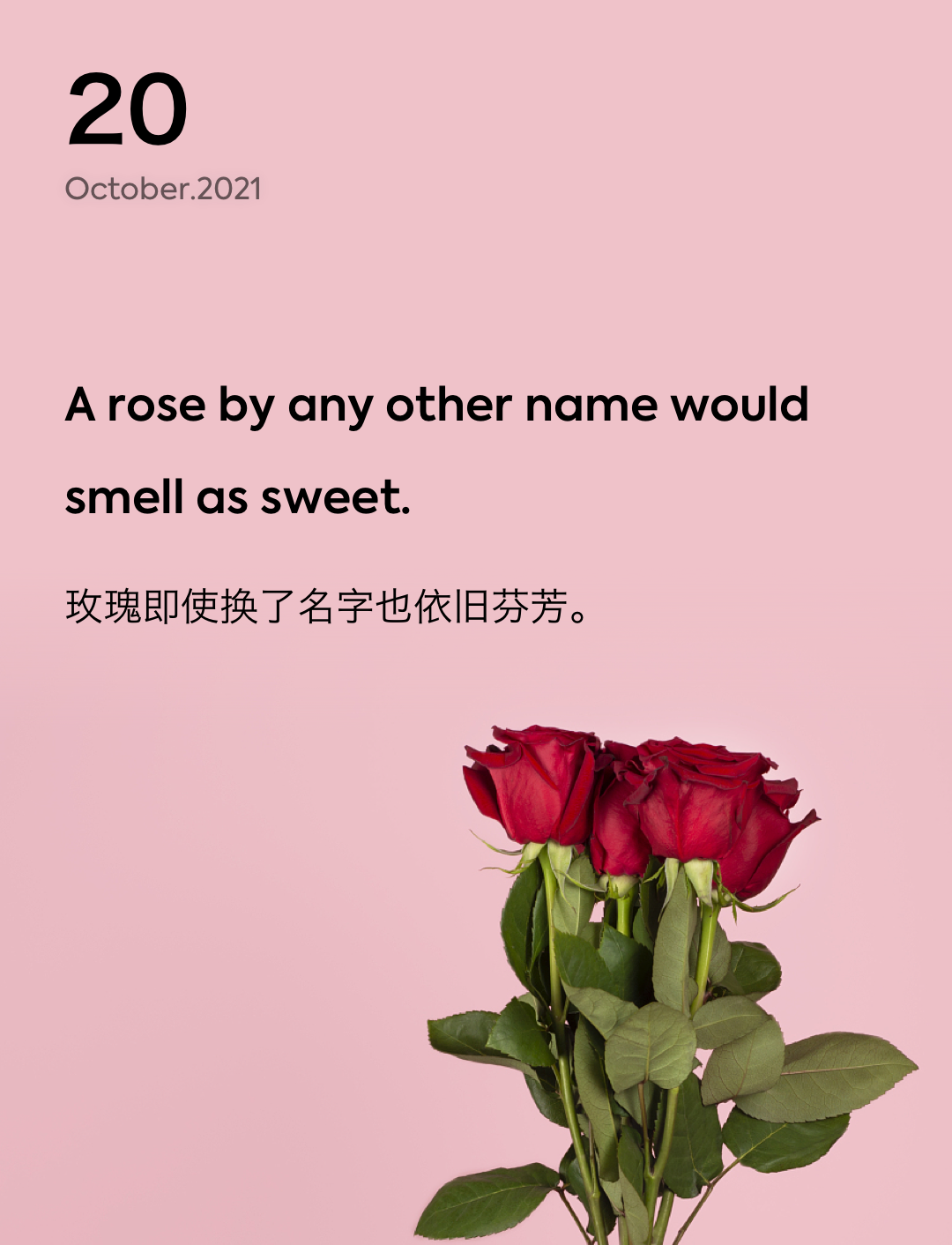 词霸每日一句