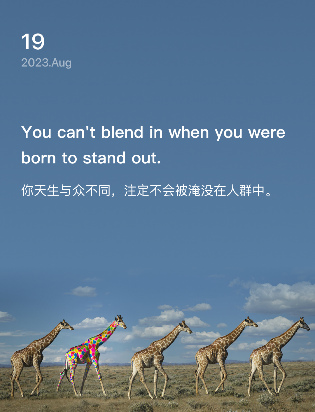 词霸每日一句