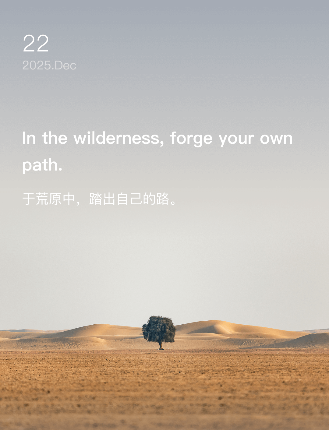 词霸每日一句