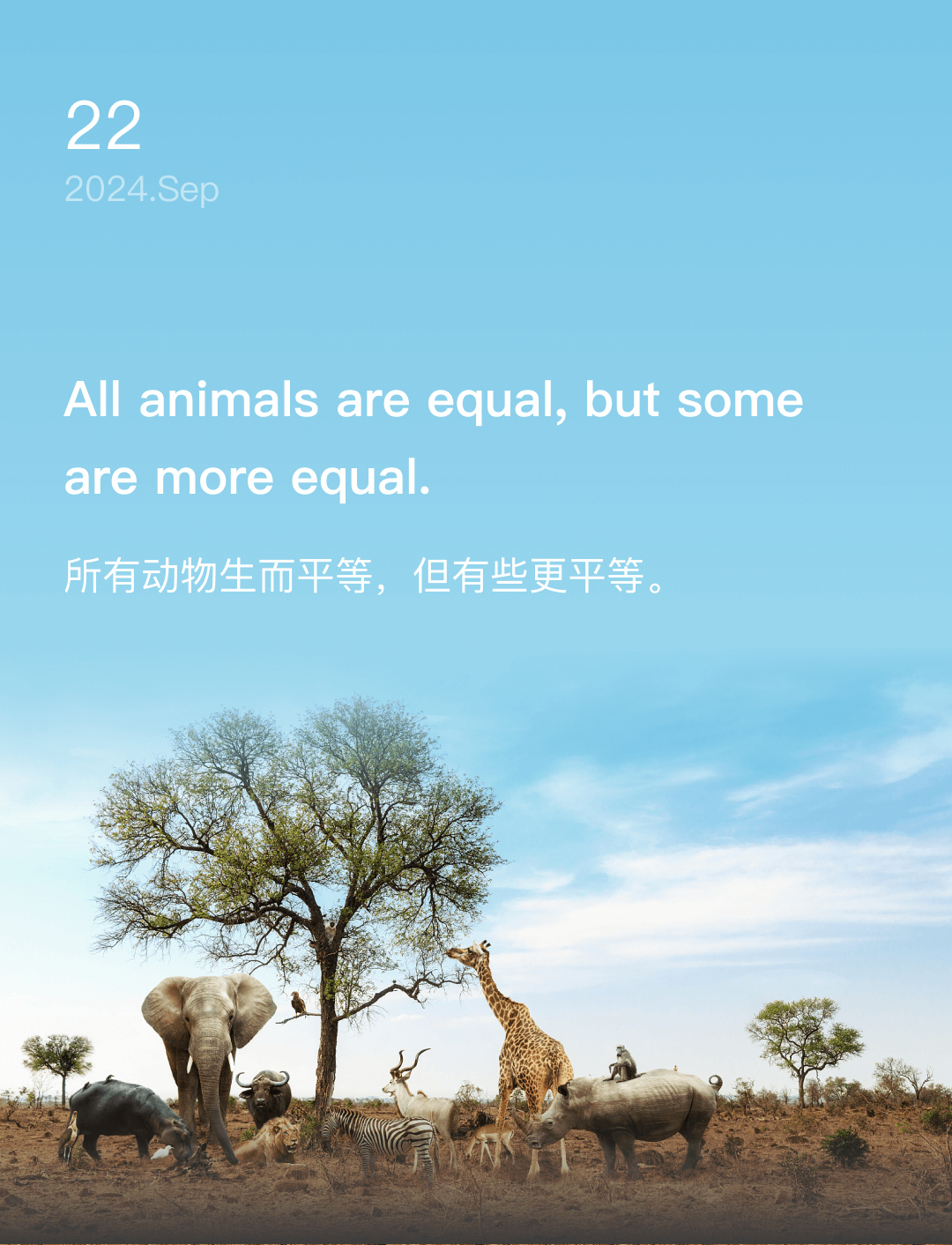 词霸每日一句