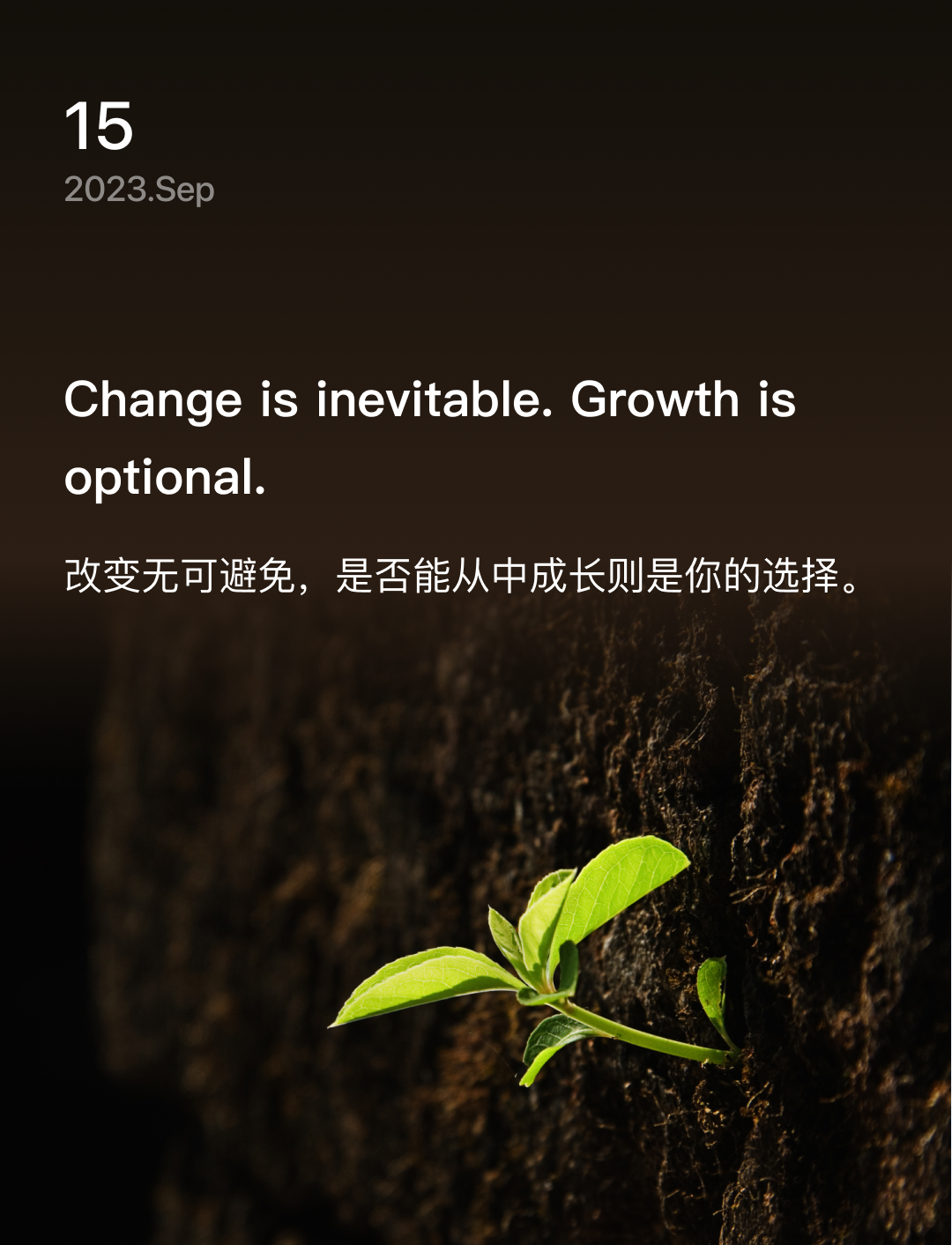 词霸每日一句